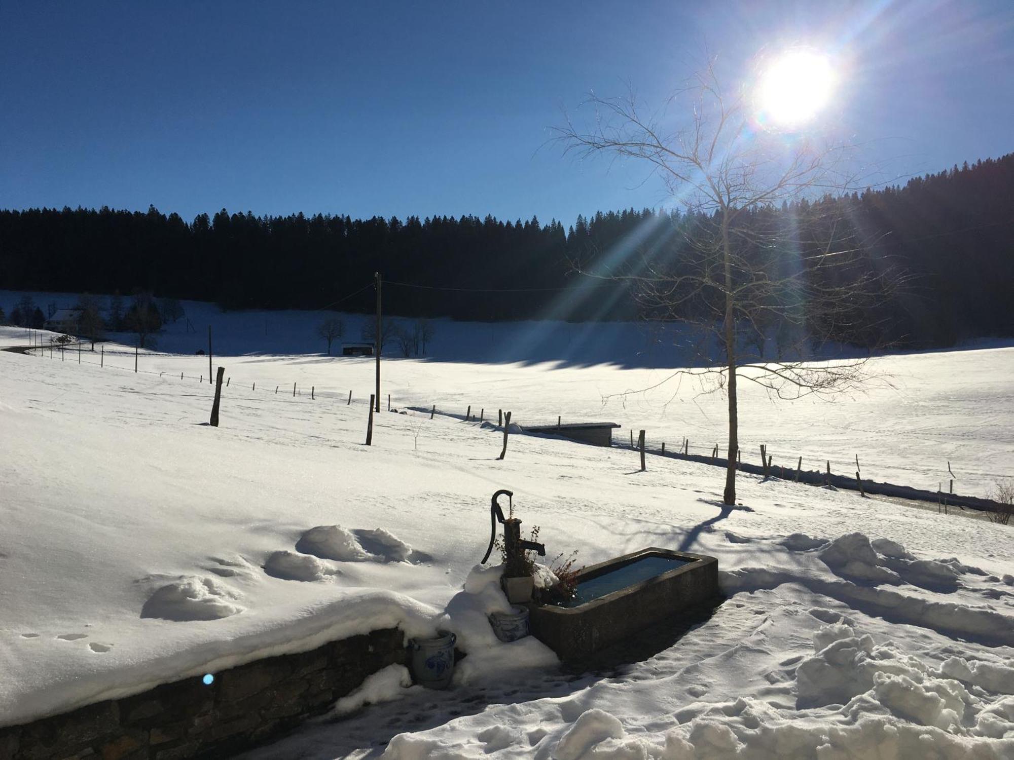 Relais De La Baume Lejlighed Le Locle Eksteriør billede