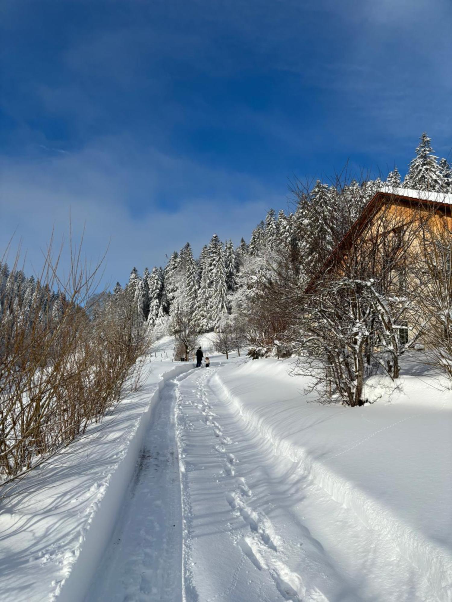 Relais De La Baume Lejlighed Le Locle Eksteriør billede