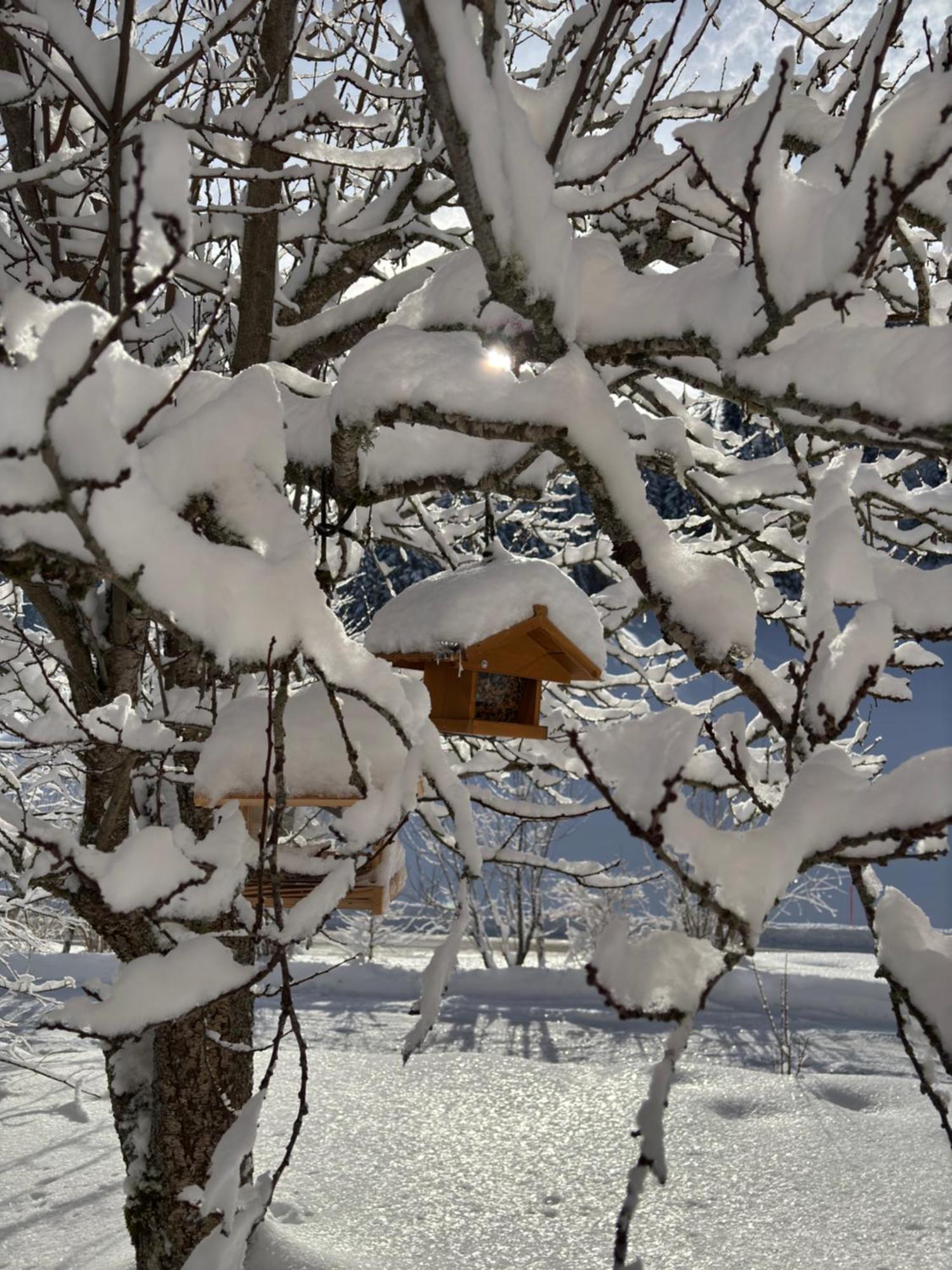 Relais De La Baume Lejlighed Le Locle Eksteriør billede