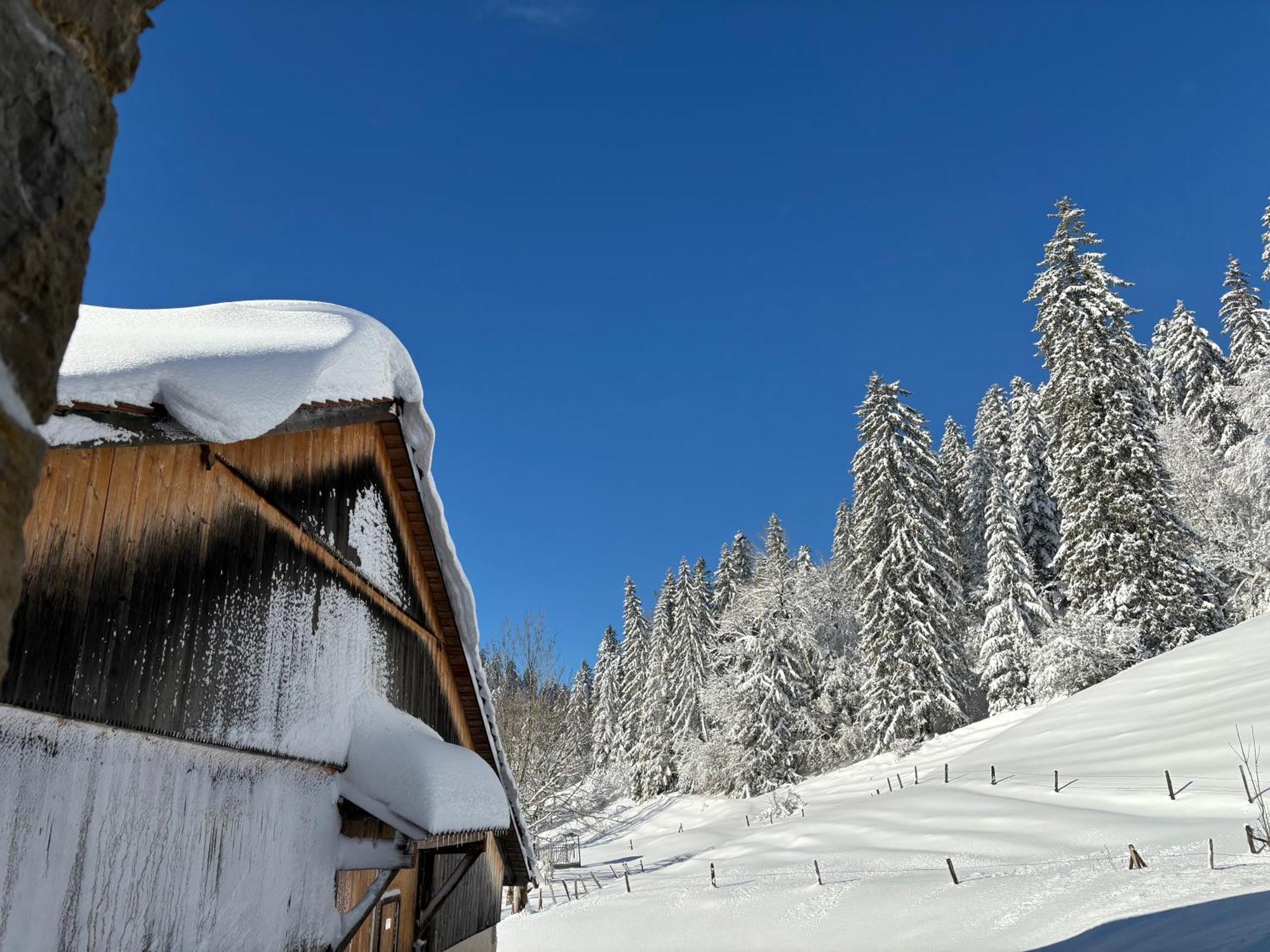 Relais De La Baume Lejlighed Le Locle Eksteriør billede