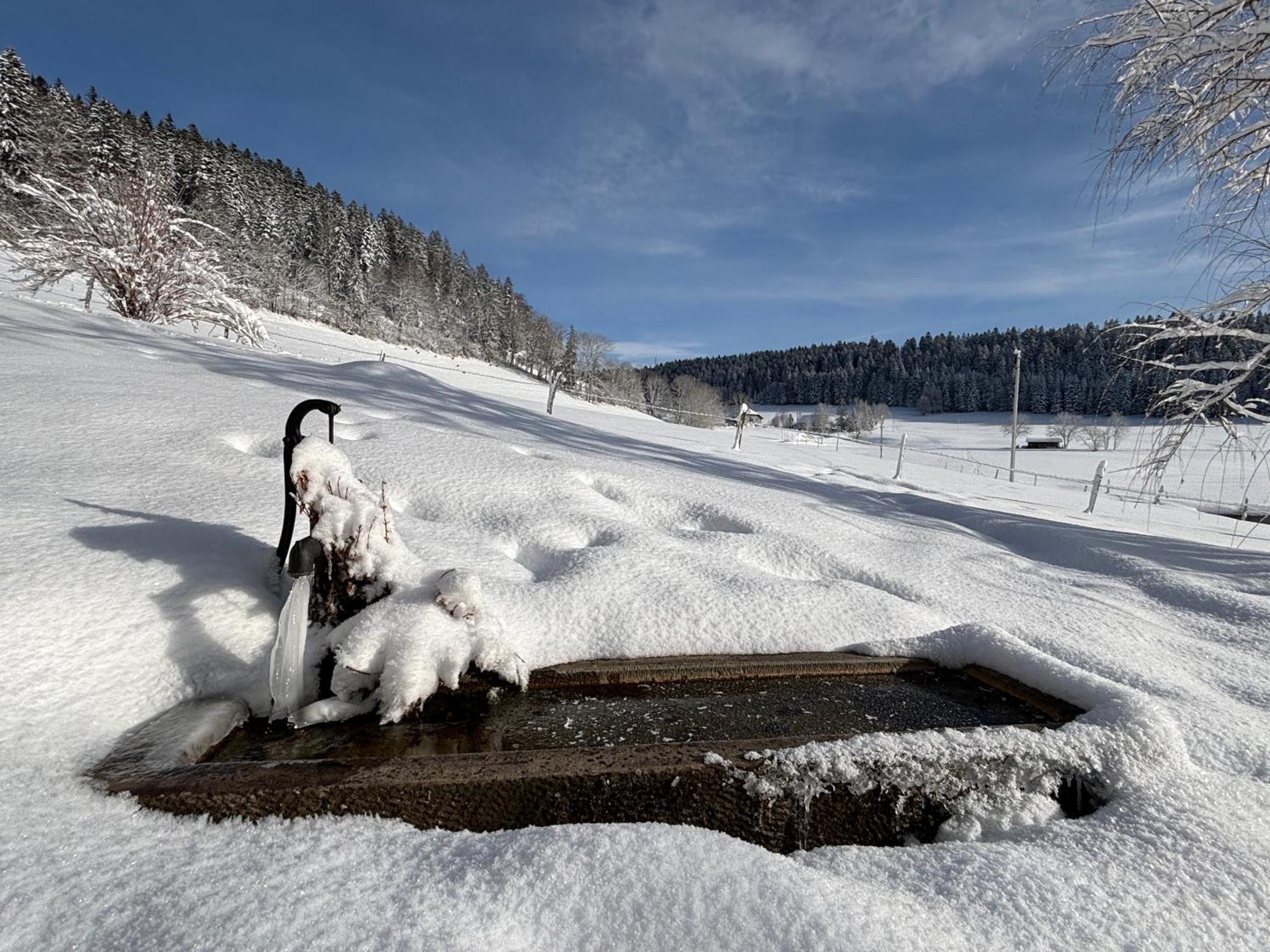 Relais De La Baume Lejlighed Le Locle Eksteriør billede