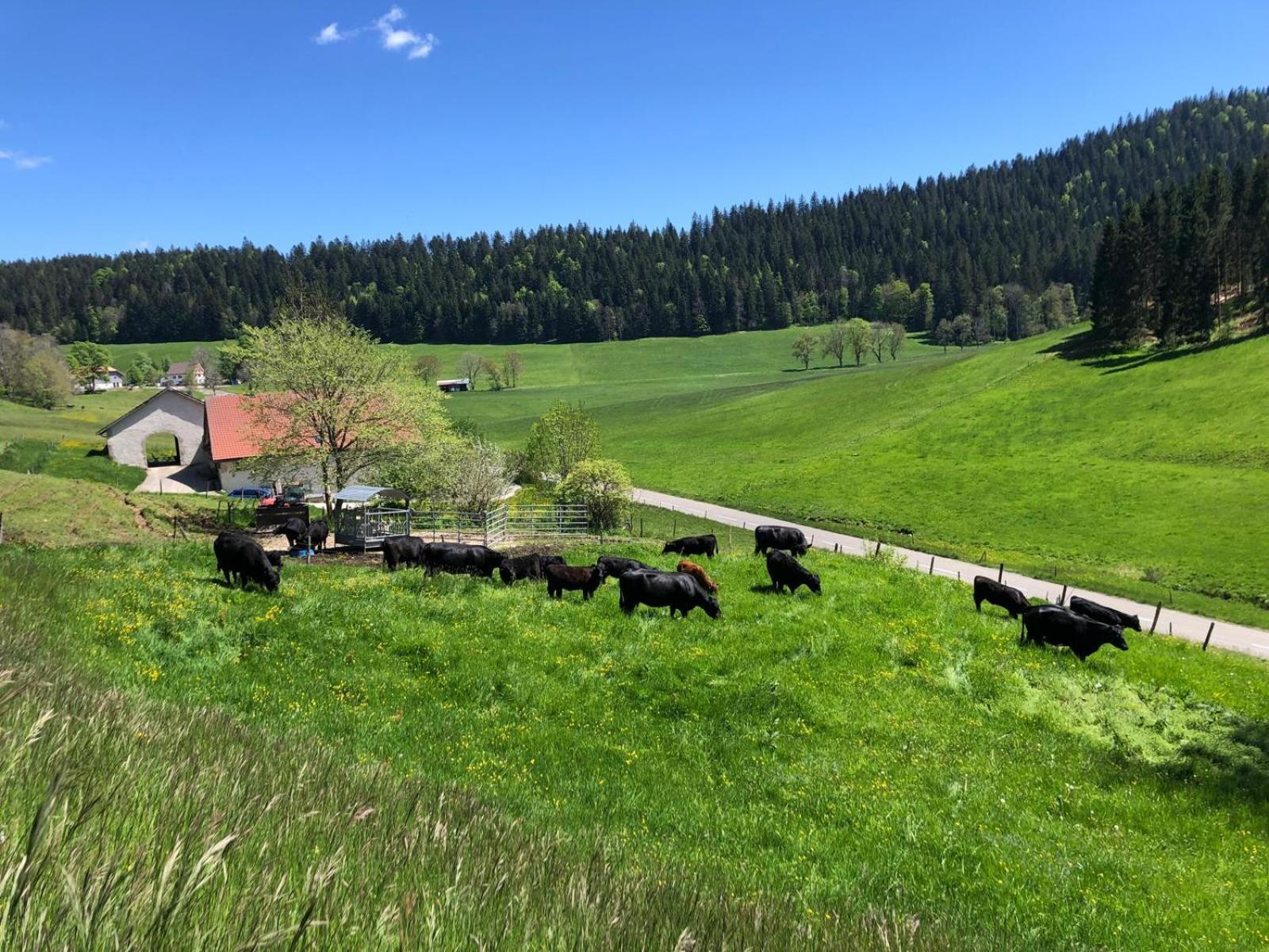 Relais De La Baume Lejlighed Le Locle Eksteriør billede